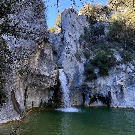 Azalee * Molieres-sur-Ceze