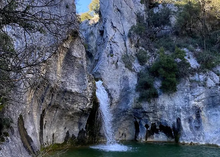 Azalee * Molieres-sur-Ceze